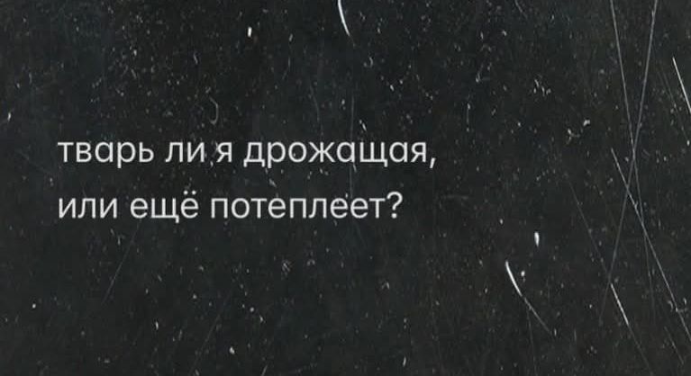 тварь ли я дрожащая, или ещё потеплеет?