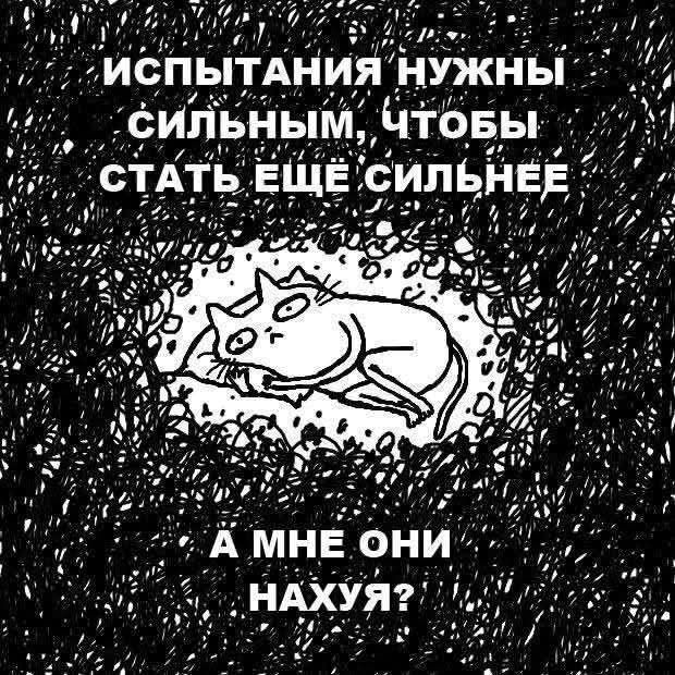 ИСПЫТАНИЯ НУЖНЫ СИЛЬНЫМ, ЧТОБЫ СТАТЬ ЕЩЁ СИЛЬНЕЕ
А МНЕ ОНИ НАХУЯ?