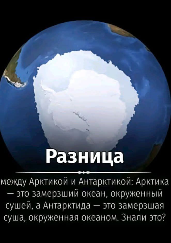 Разница между Арктикой и Антарктикой: Арктика — это замерзший океан, окруженный сушей, а Антарктида — это замерзшая суша, окруженная океаном. Знали это?