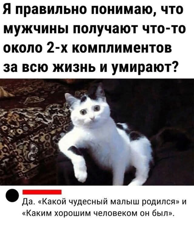 Я правильно понимаю, что мужчины получают что-то около 2-х комплиментов за всю жизнь и умирают? Да. «Какой чудесный малыш родился» и «Каким хорошим человеком он был».