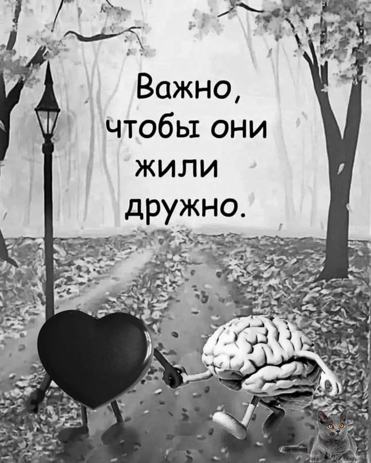 Важно, чтобы они жили дружно.