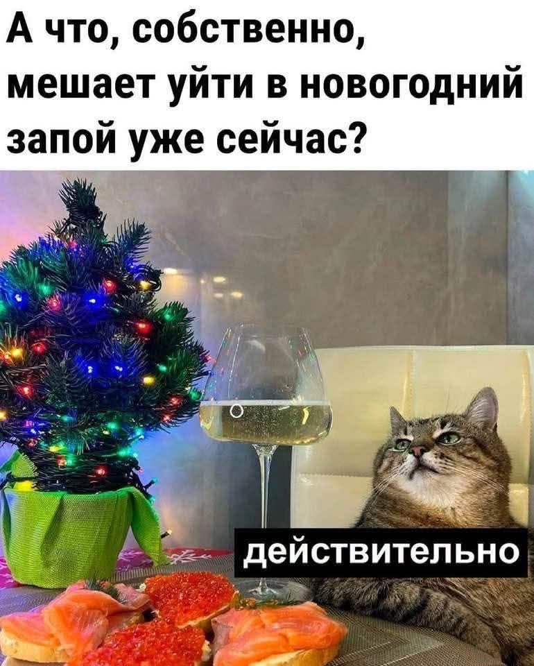 А что, собственно, мешает уйти в новогодний запой уже сейчас? действительно