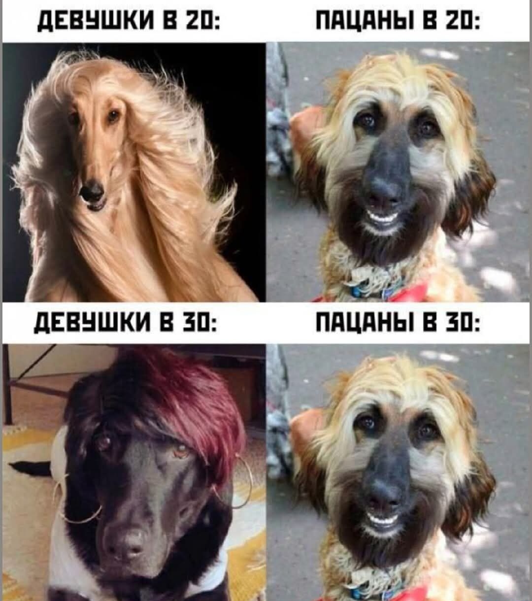 ДЕВУШКИ В 20: Пацаны в 20: ДЕВУШКИ В 30: Пацаны в 30: