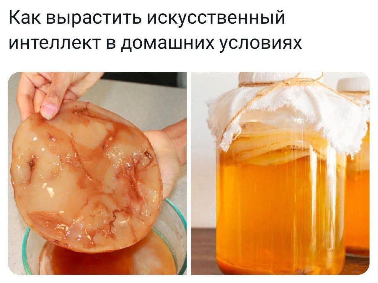 Как вырастить искусственный интеллект в домашних условиях