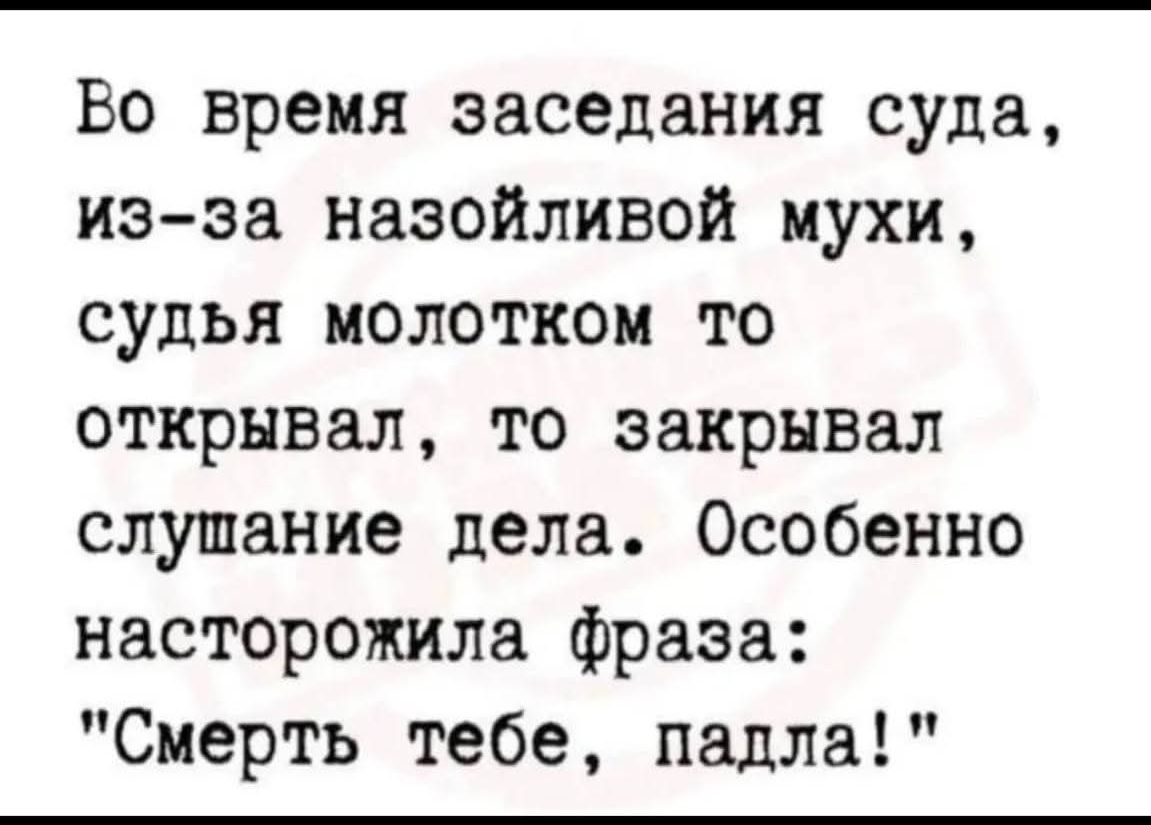 Во время заседания суда, из-за назойливой мушки, судья молотком то открывал, то закрывал слушание дела. Особенно насторожила фраза: 