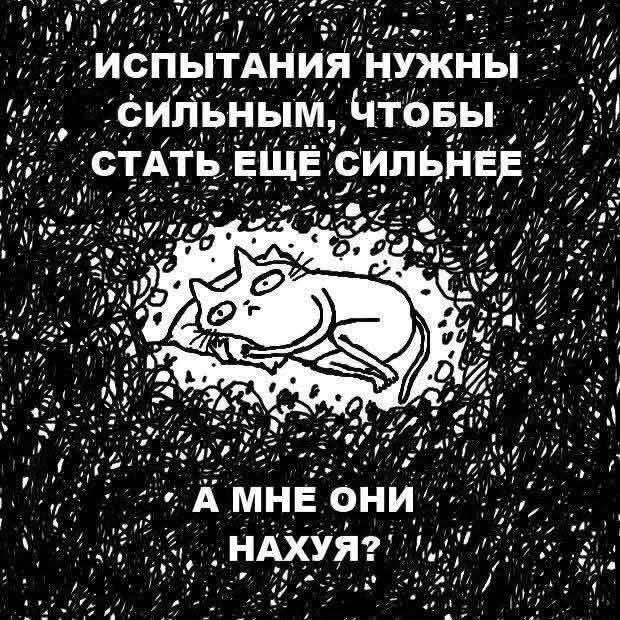 ИСПЫТАНИЯ НУЖНЫ СИЛЬНЫМ, ЧТОБЫ СТАТЬ ЕЩЕ СИЛЬНЕЕ
А МНЕ ОНИ НАХУЯ?