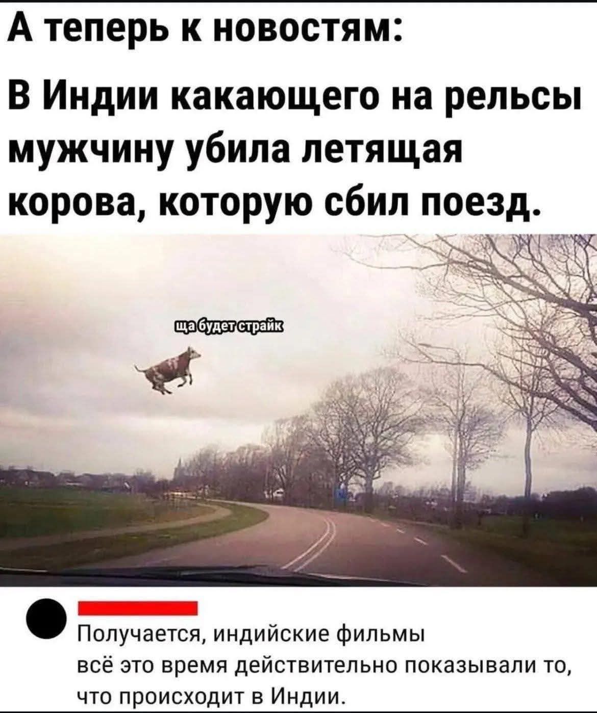 А теперь к новостям: В Индии какающего на рельсы мужчину убила летящая корова, которую сбил поезд. Получается, индийские фильмы всё это время действительно показывали то, что происходит в Индии.