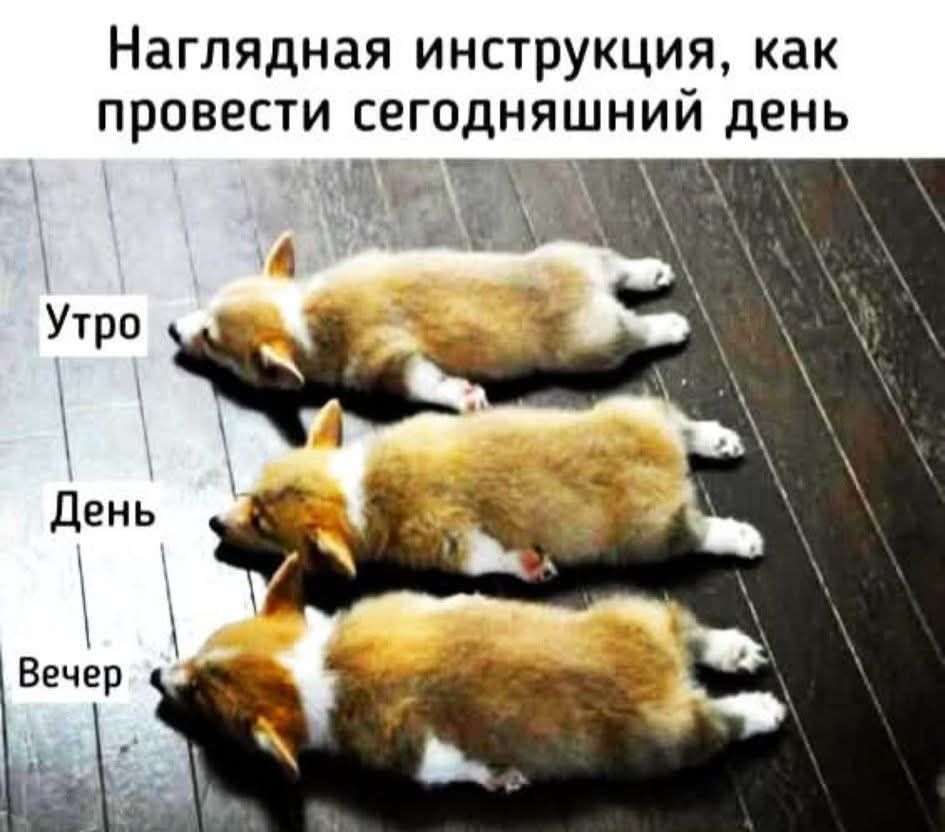 Наглядная инструкция, как провести сегодняшний день
Утро
День
Вечер