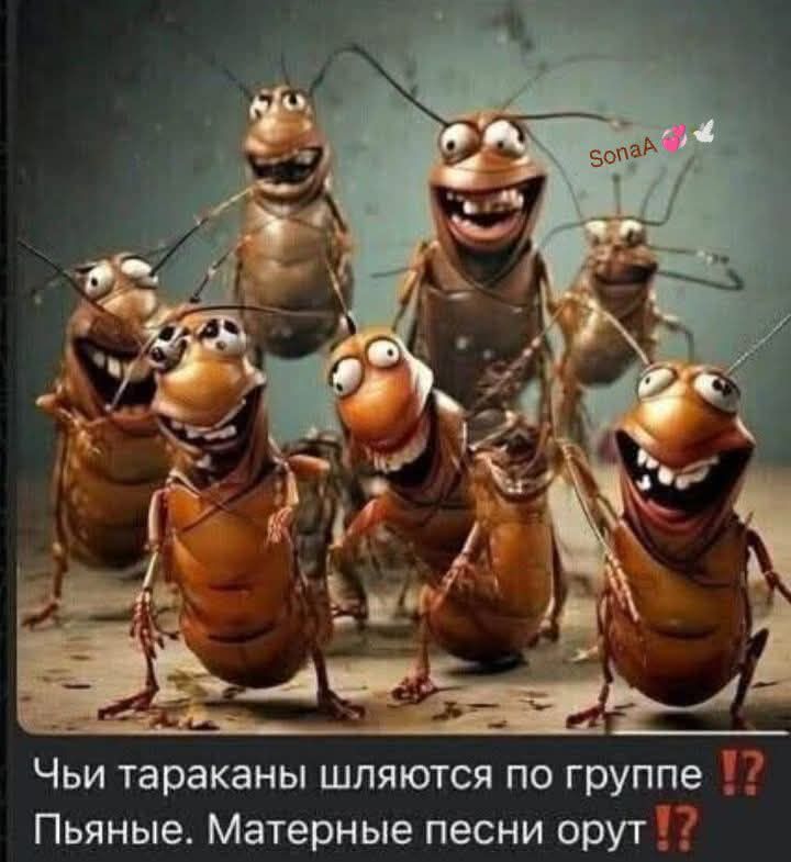 Чьи тараканы шляются по группе? Пьяные. Матерные песни орут