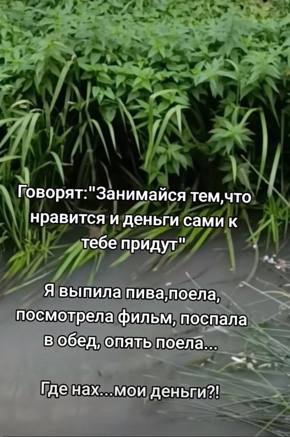 Говорят: 