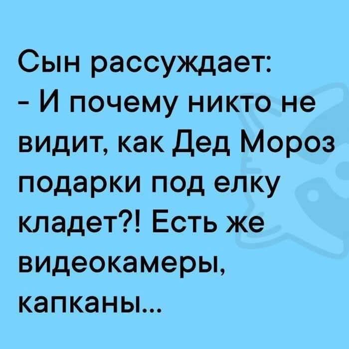 Сын рассуждает: - И почему никто не видит, как Дед Мороз подарки под елку кладет?! Есть же видеокамеры, капканы...