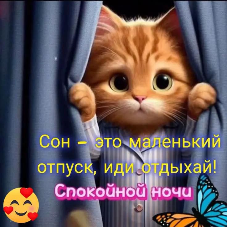 Сон - это маленький отпуск, иди отдыхай! Спокойной ночи