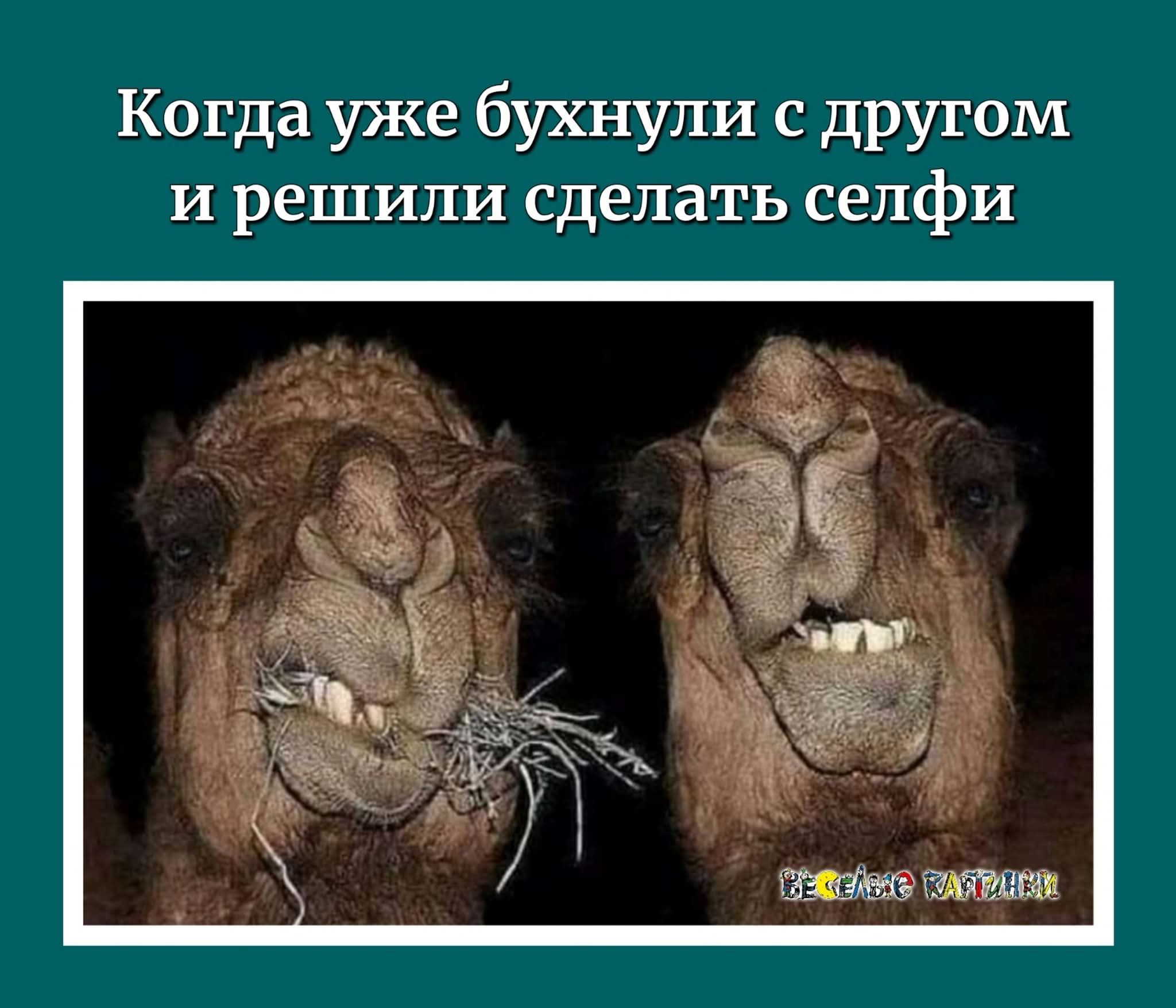 Когда уже бухнули с другом и решили сделать селфи