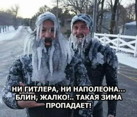 ни гитлера, ни наполеона... Блин, жалко!.. Такая зима пропадет!