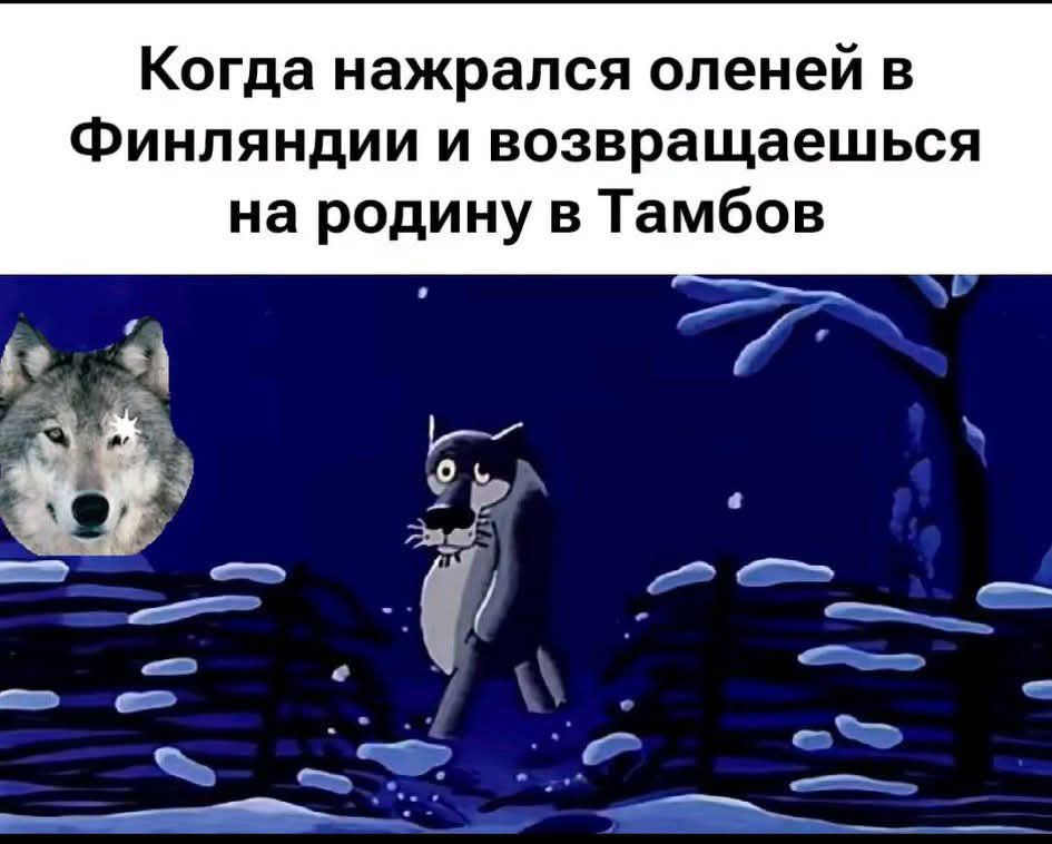 Когда нажралась оленей в Финляндии и возвращаешься на родину в Тамбов