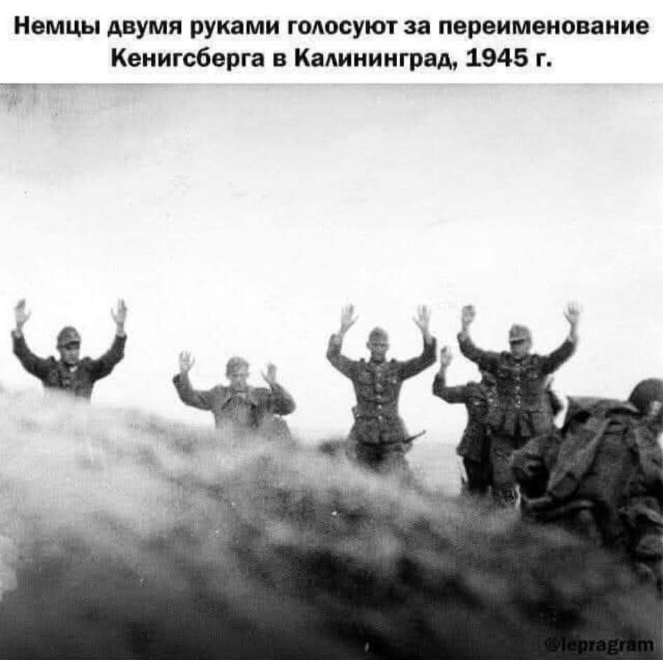 Немцы двумя руками голосуют за переименование Кенигсберга в Калининград, 1945 г.