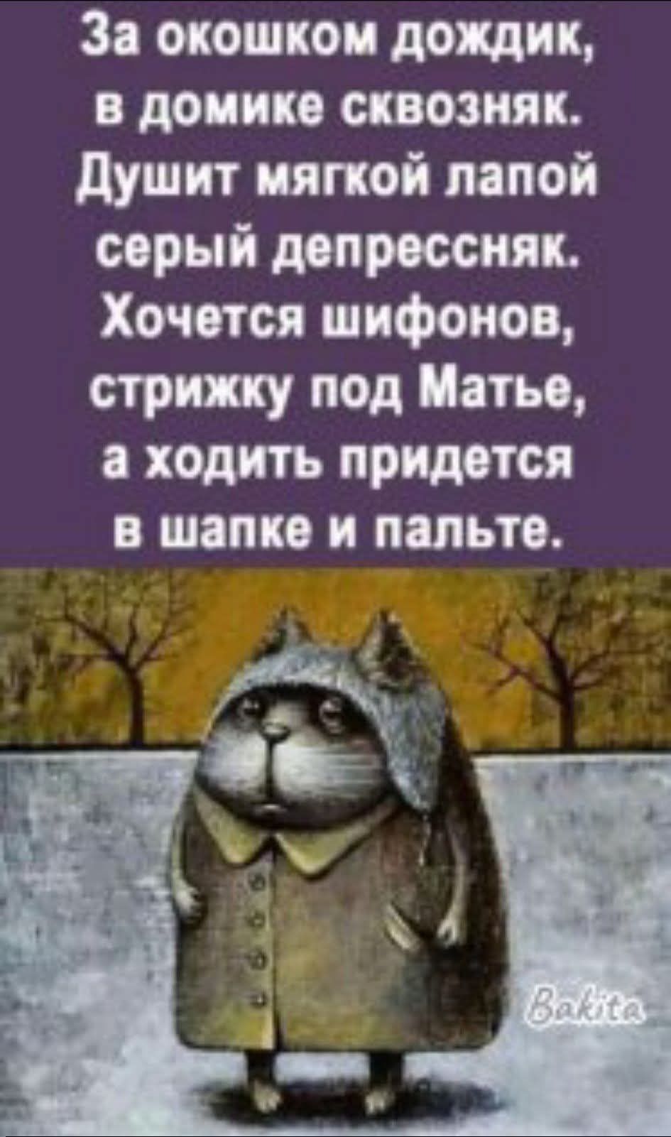 За окном дождик, в домике сквозняк. Душит мягкой лапой серый депрессняк. Хочется шифонов, стрижку под Матье, а ходить придётся в шапке и пальте.