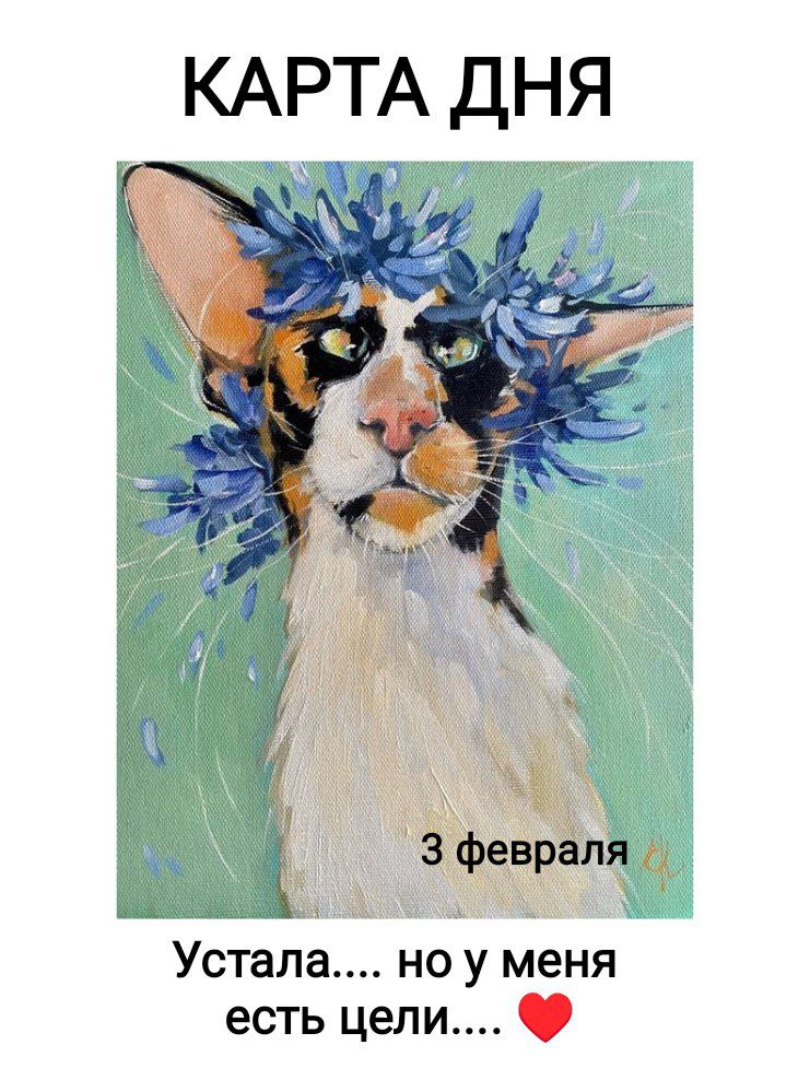 КАРТА ДНЯ
3 февраля
Устала... но у меня есть цели... ❤️