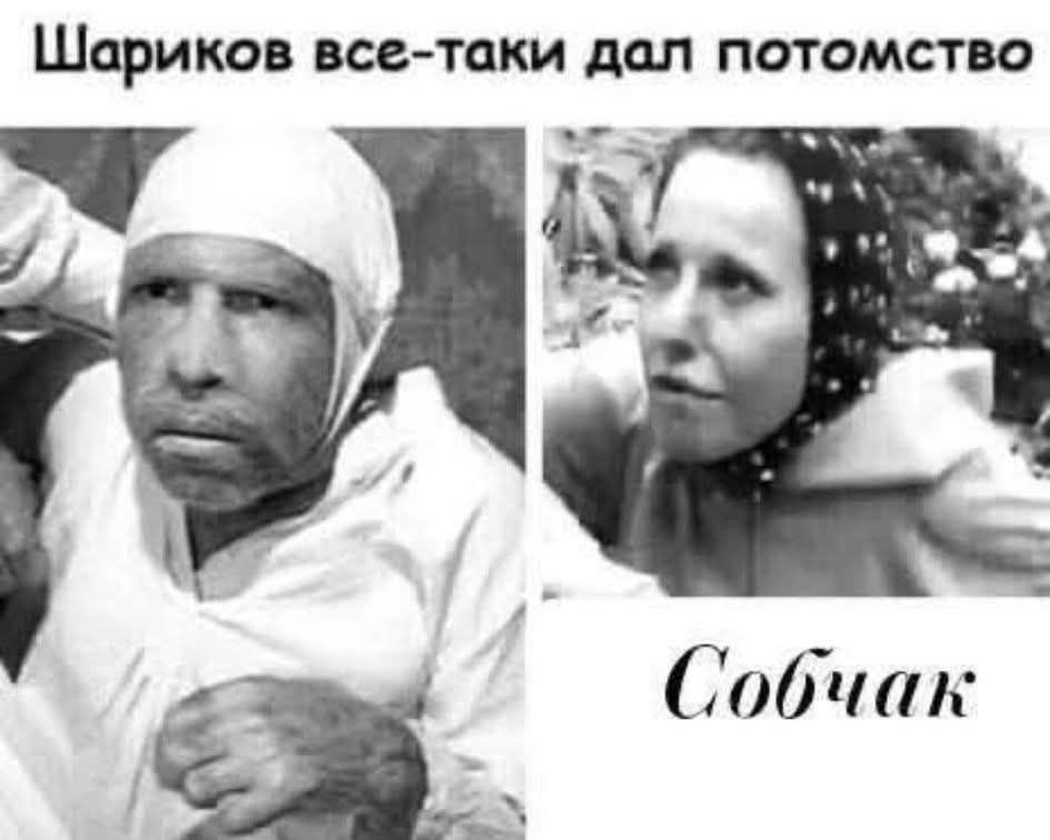 Шариков все-таки дал потомство Собчак