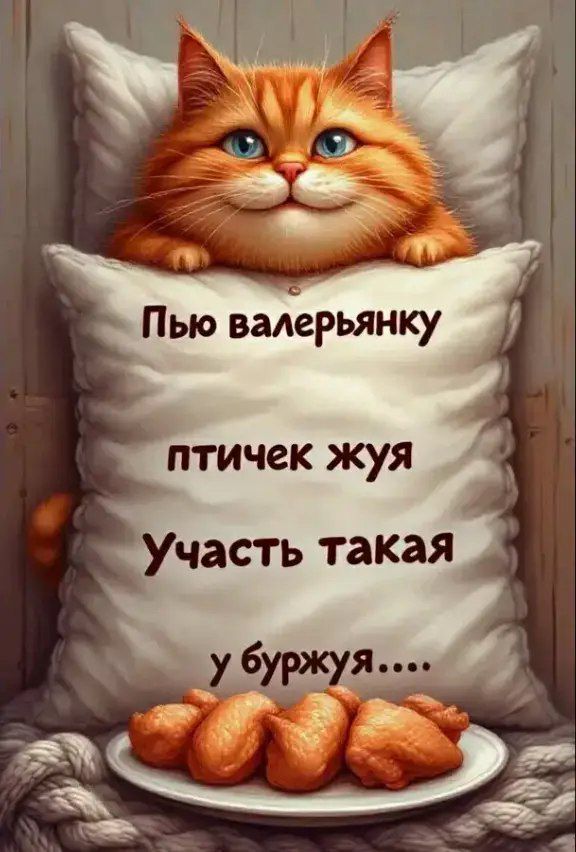 Пью валерянку птичек жуЯ Участь такая у буржуЯ....
