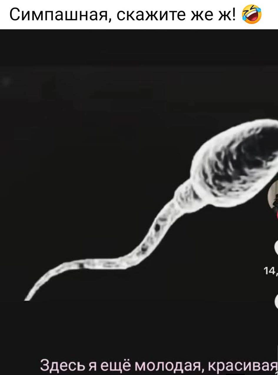 Симпаташная, скажите же ж!🤣
Здесь я ещё молодая, красивая