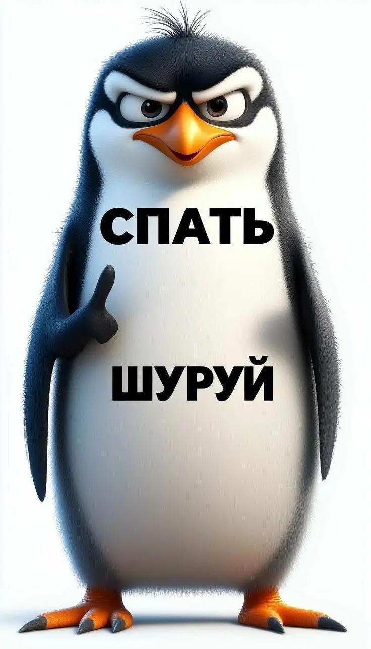 СПАТЬ ШУРУЙ
