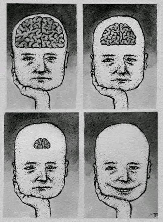 Четыре панели: голова с уменьшающимся мозгом — нейромем.