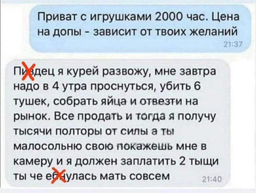 Пиздец, я курей развожу, мне завтра надо в 4 утра проснуться, убить 6 тушек, собрать яйца и отвезти на рынок. Все продать и тогда я получу тысячи полторы от силы а ты малосольную свою покажешь мне в камеру и я должен заплатить 2 тысячи Ты че еб...лась мать совсем