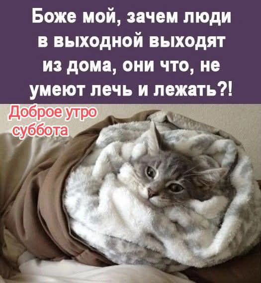 Боже мой, зачем люди в выходной выходят из дома, они что, не умеют печь и лежать?!\nДоброе утро суббота