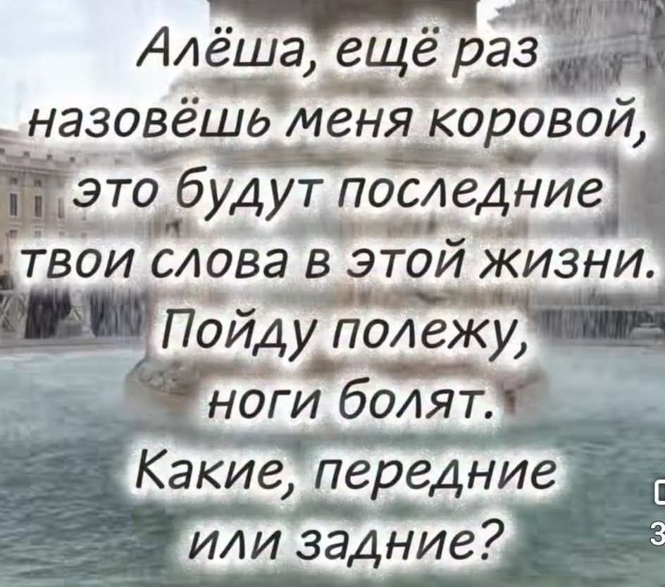 Алёша, ещё раз назовёшь меня коровой, это будут последние твои слова в этой жизни. Пойду полежу, ноги болят. Какие, передние или задние?