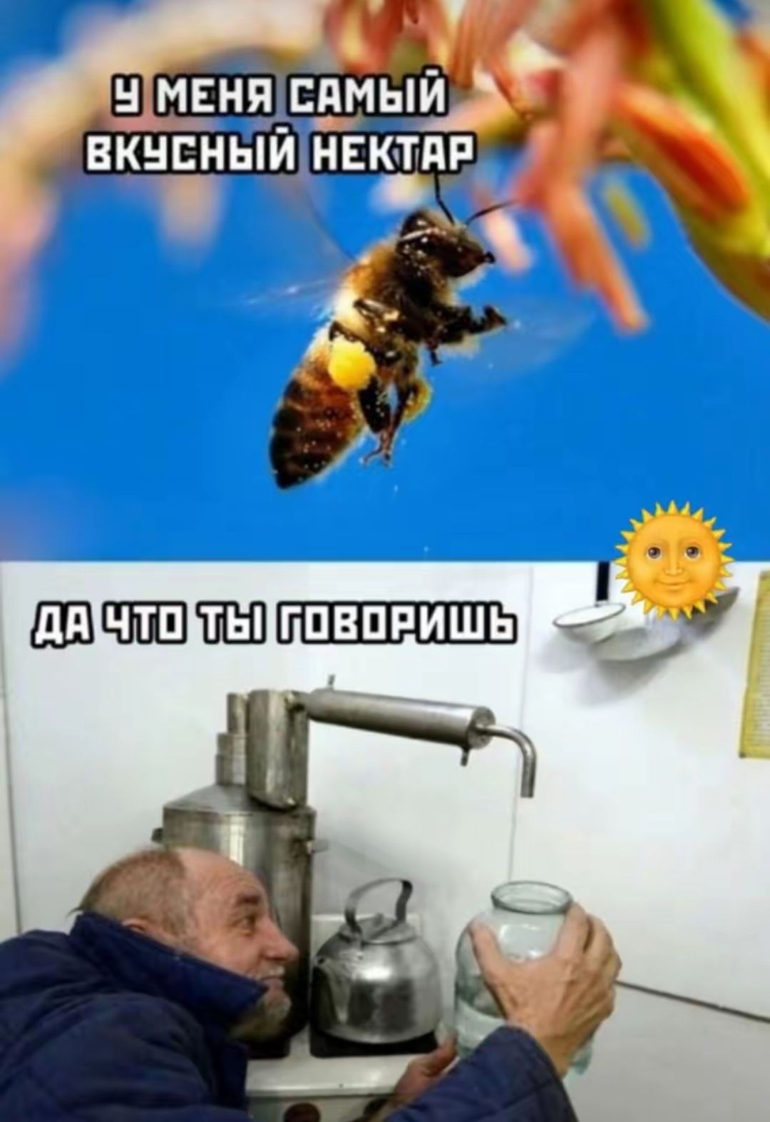 У МЕНЯ САМЫЙ ВКУСНЫЙ НЕКТАР
ДА ЧТО ТЫ ГОВОРИШЬ.