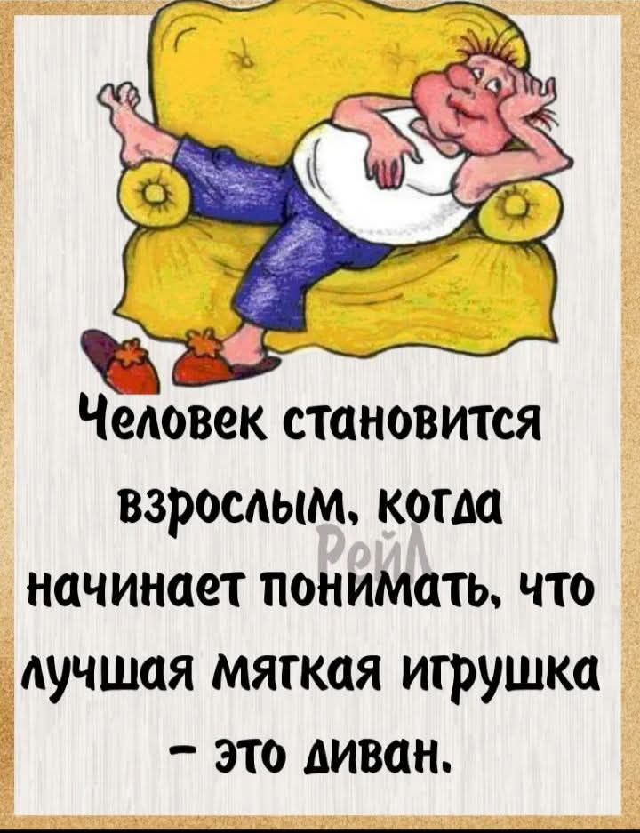 Человек становится взрослым, когда начинает понимать, что лучшая мягкая игрушка — это диван.
