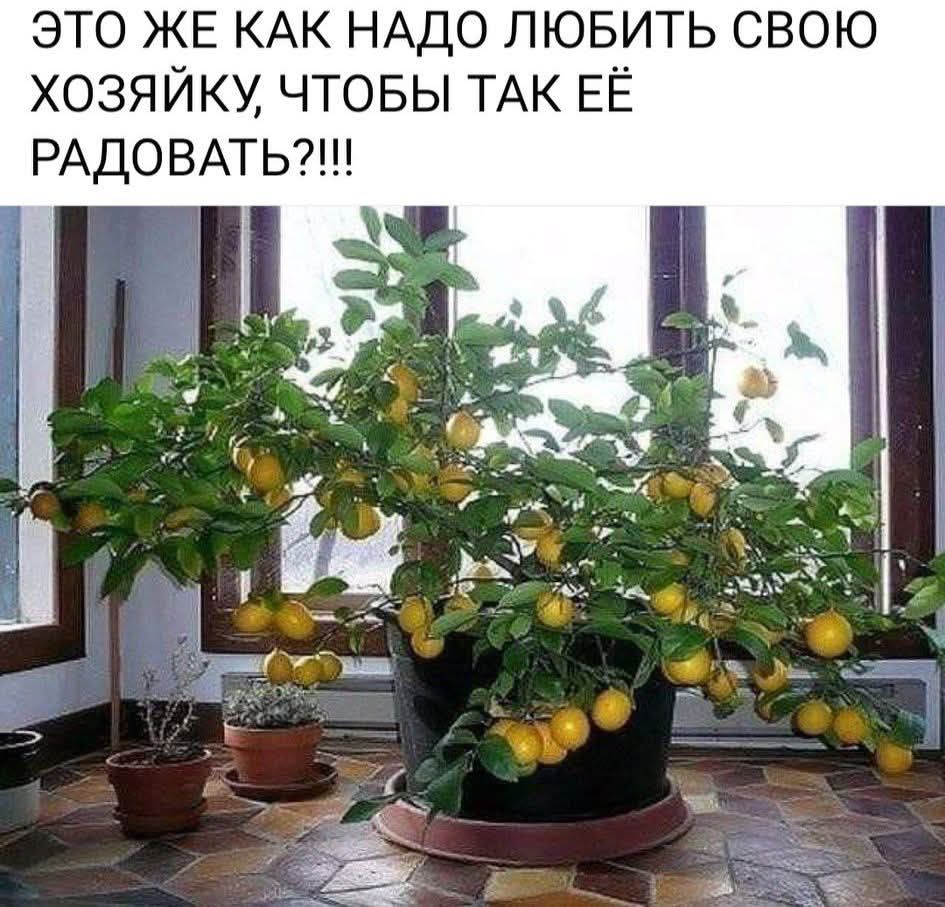 ЭТО ЖЕ КАК НАДО ЛЮБИТЬ СВОЮ ХОЗЯЙКУ, ЧТОБЫ ТАК ЕЁ РАДОВАТЬ???