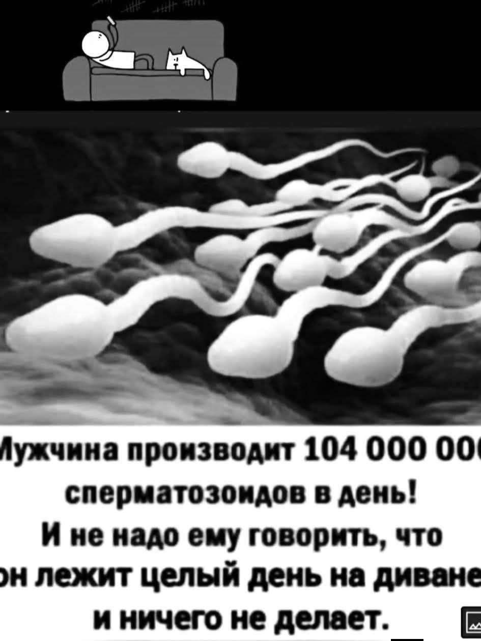 Мужчина производит 104 000 000 сперматозоидов в день! И не надо ему говорить, что он лежит целый день на диване и ничего не делает.