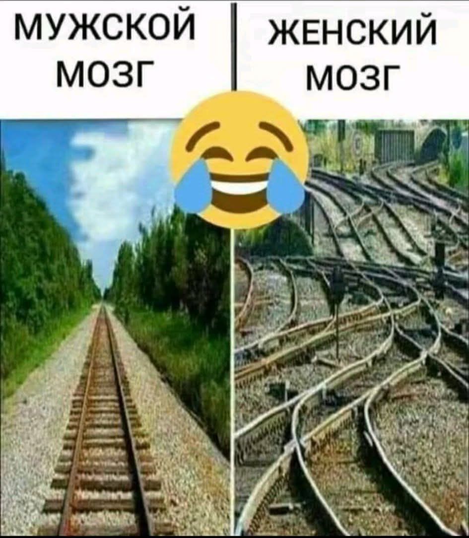 МУЖСКОЙ МОЗГ / ЖЕНСКИЙ МОЗГ