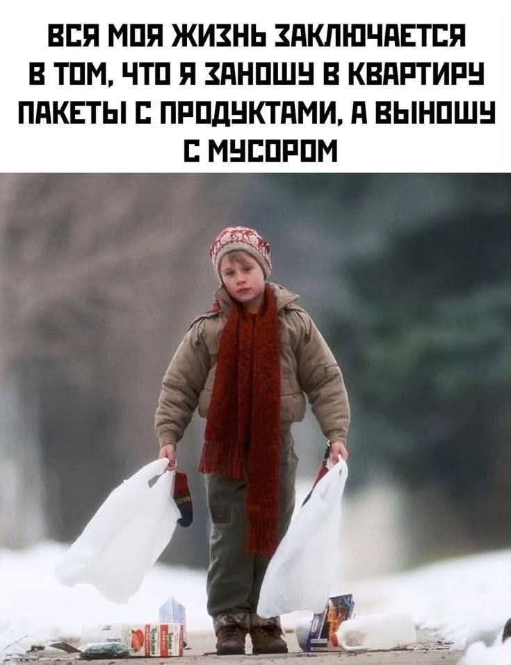 ВСЯ МАЯ ЖИЗНЬ ЗАКЛЮЧАЕТСЯ В ТОМ, ЧТО Я ЗАНОШУ В КВАРТИРУ ПАКЕТЫ С ПРОДУКТАМИ, А ВЫНОШУ С МУСОРОМ