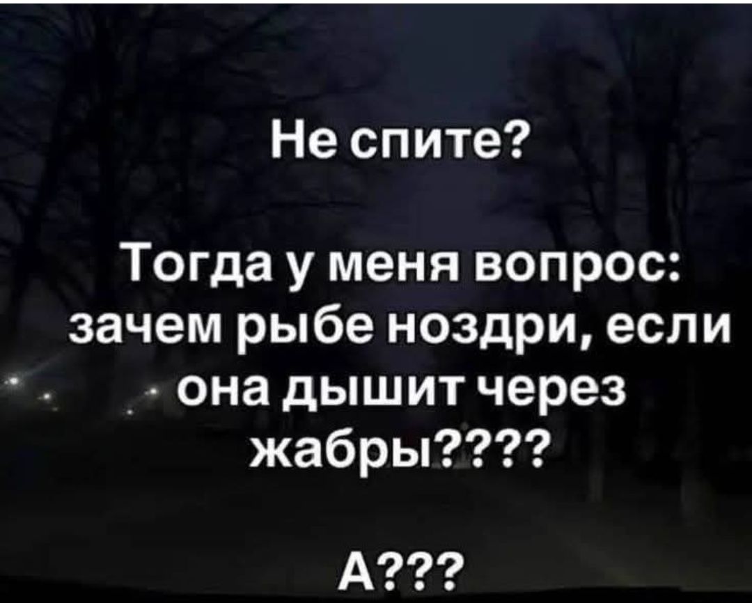 Не спите? Тогда у меня вопрос: зачем рыбе ноздри, если она дышит через жабры????? А???