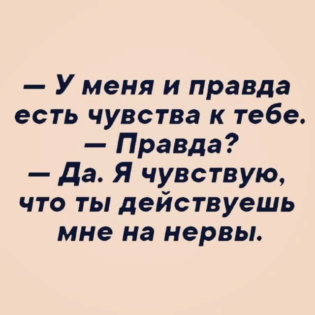 — У меня и правда есть чувства к тебе. 
— Правда? 
— Да. Я чувствую, что ты действуешь мне на нервы.