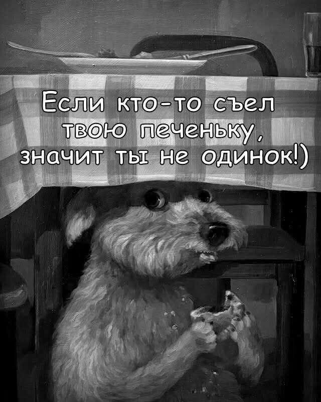 Если кто-то съел твою печеньку, значит ты не одинок!)