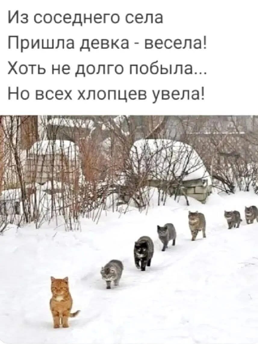 Из соседнего села
Пришла девка - весела!
Хоть не долго побыла...
Но всех хлопцев увела!