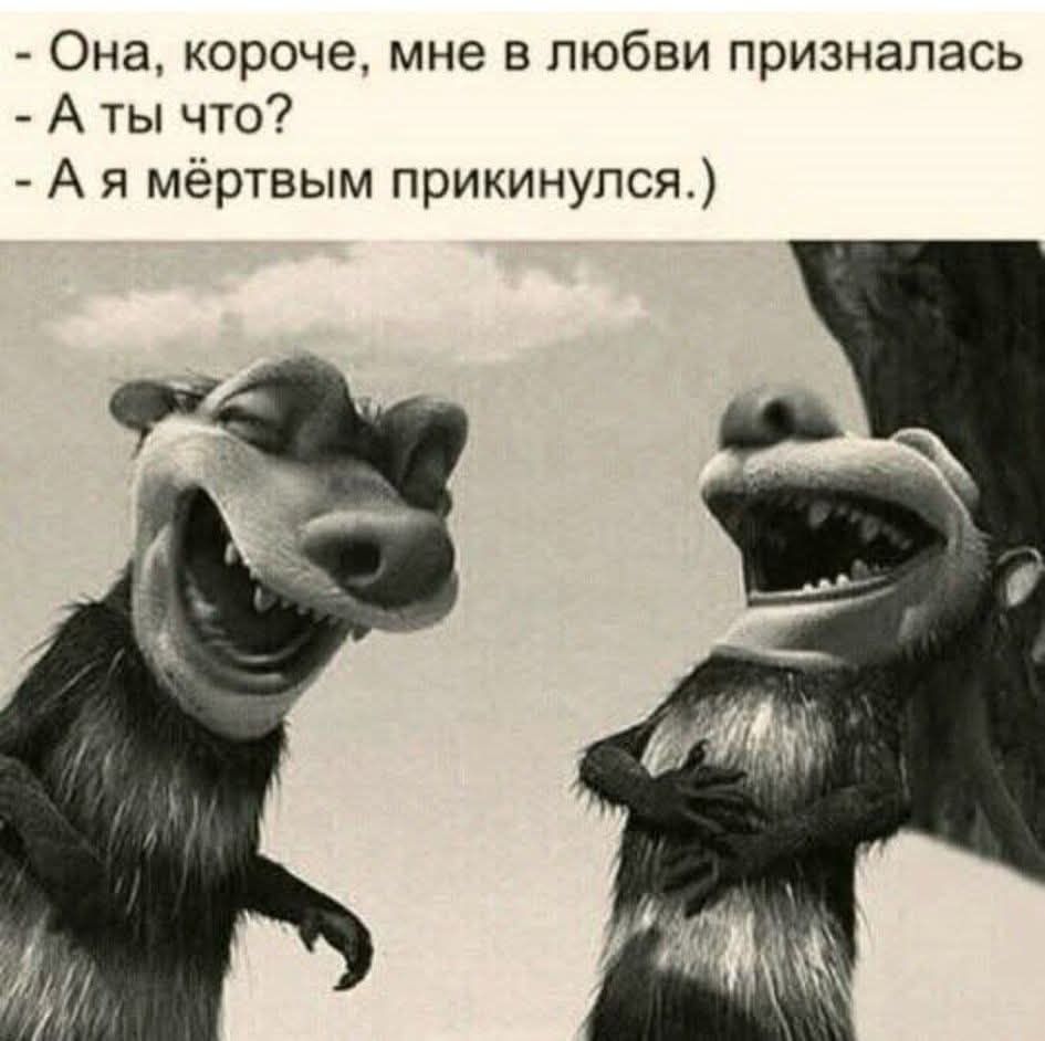 - Она, короче, мне в любви призналась
- А ты что?
- А я мёртвым прикинулся.)