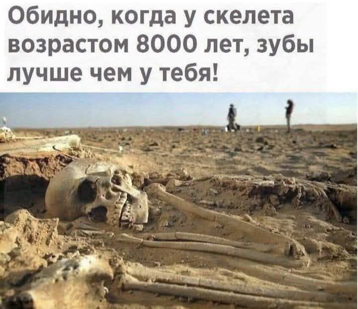 Обидно, когда у скелета возрастом 8000 лет, зубы лучше чем у тебя!