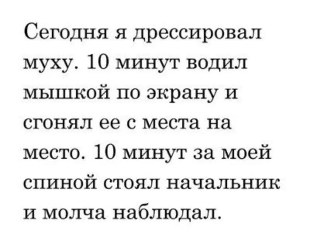 Сегодня я дрессировал муху. 10 минут водил мышкой по экрану и сгонял ее с места на место. 10 минут за моей спиной стоял начальник и молча наблюдал.