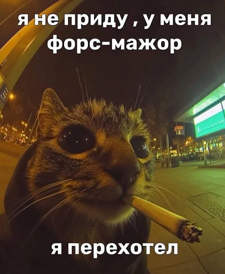 я не приду , у меня форс-мажор
я переохел