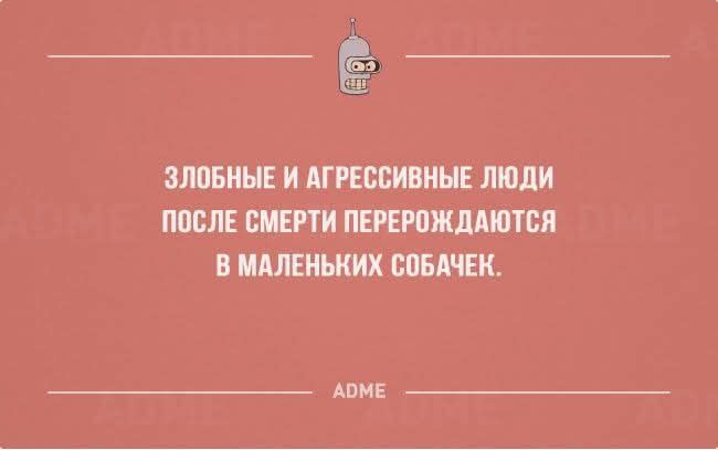 ЗЛОБНЫЕ И АГРЕССИВНЫЕ ЛЮДИ ПОСЛЕ СМЕРТИ ПЕРЕРОЖДАЮТСЯ В МАЛЕНЬКИХ СОБАЧЕК.