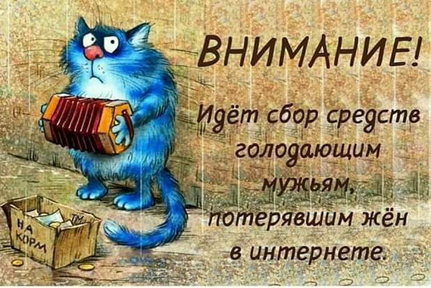 ВНИМАНИЕ! Идёт сбор средств голодающим мужьям, потерявшим жён в интернете. НА КОРМ