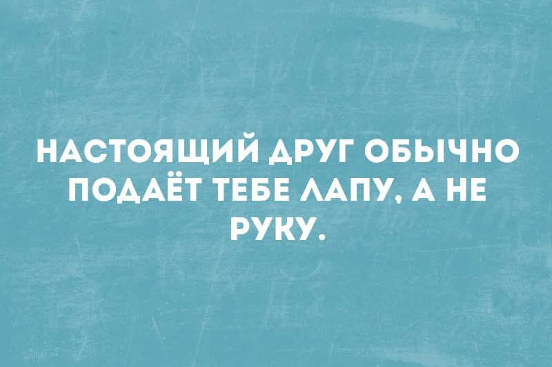 НАСТОЯЩИЙ ДРУГ ОБЫЧНО ПОДАЁТ ТЕБЕ ЛАПУ, А НЕ РУКУ.