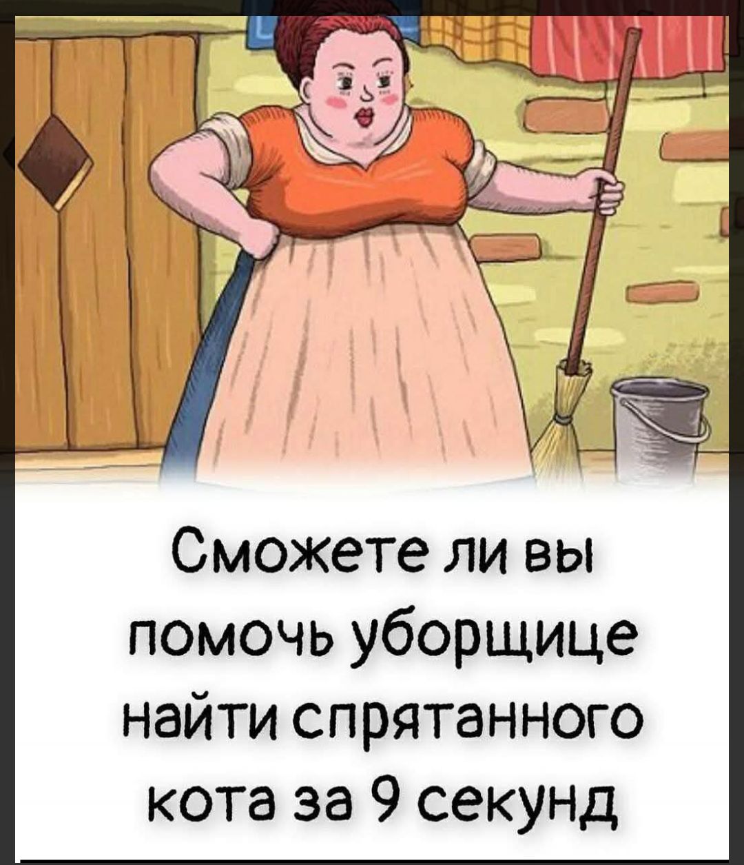 Сможете ли вы помочь уборщице найти спрятанного кота за 9 секунд