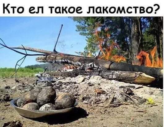 Кто ел такое лакомство?