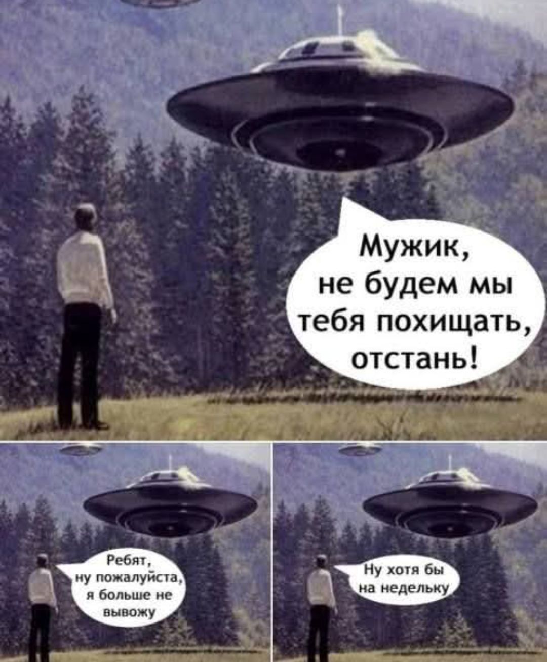 Мужик, не будем мы тебя похищать, отстань! Ребят, ну пожалуйста, я больше не вывожу. Ну хотя бы на недельку